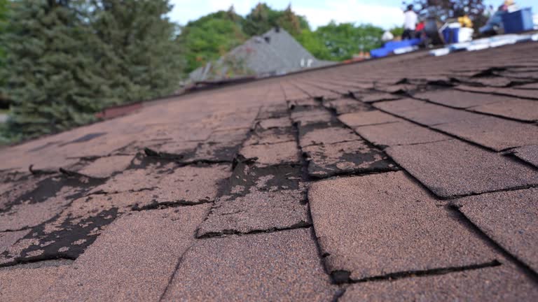 Best Tile Roofing Installation  in Columbus, MN
