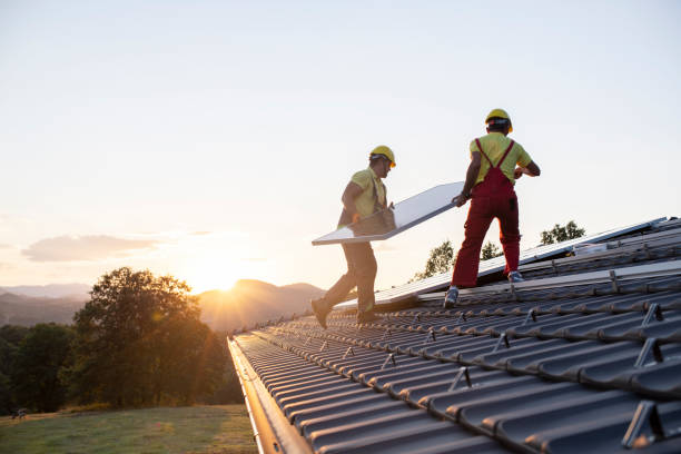 Best 4 Ply Roofing  in Columbus, MN