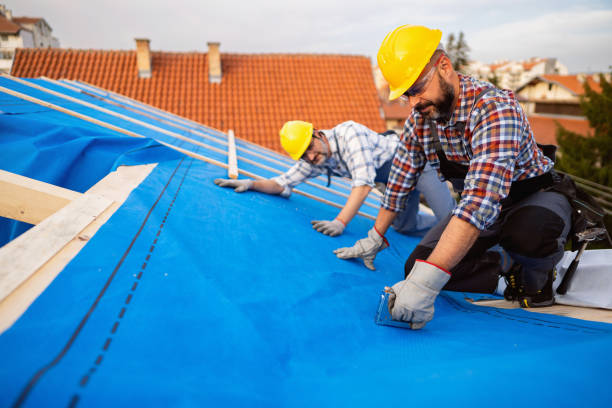 Best Roof Moss and Algae Removal  in Columbus, MN