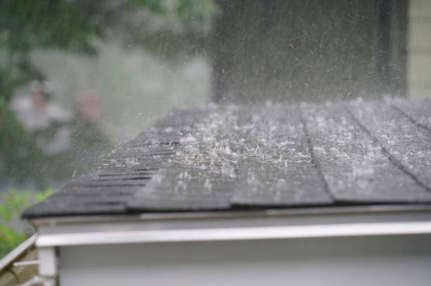 Best Emergency Roof Repair Services  in Columbus, MN