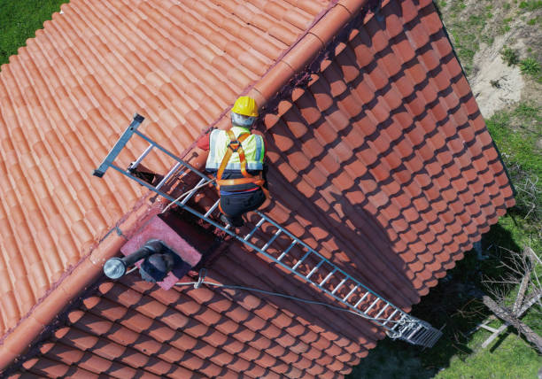 Best Gutter Installation and Repair  in Columbus, MN