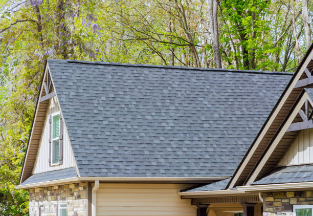 Best Asphalt Shingles Roofing  in Columbus, MN