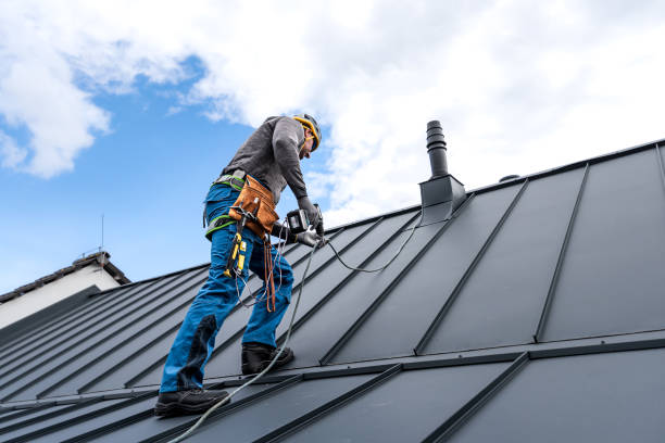 Best Chimney Flashing Repair  in Columbus, MN