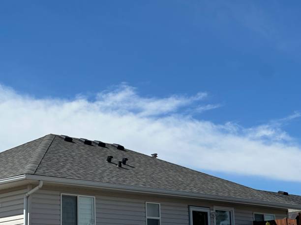 Best Roof Maintenance and Cleaning  in Columbus, MN